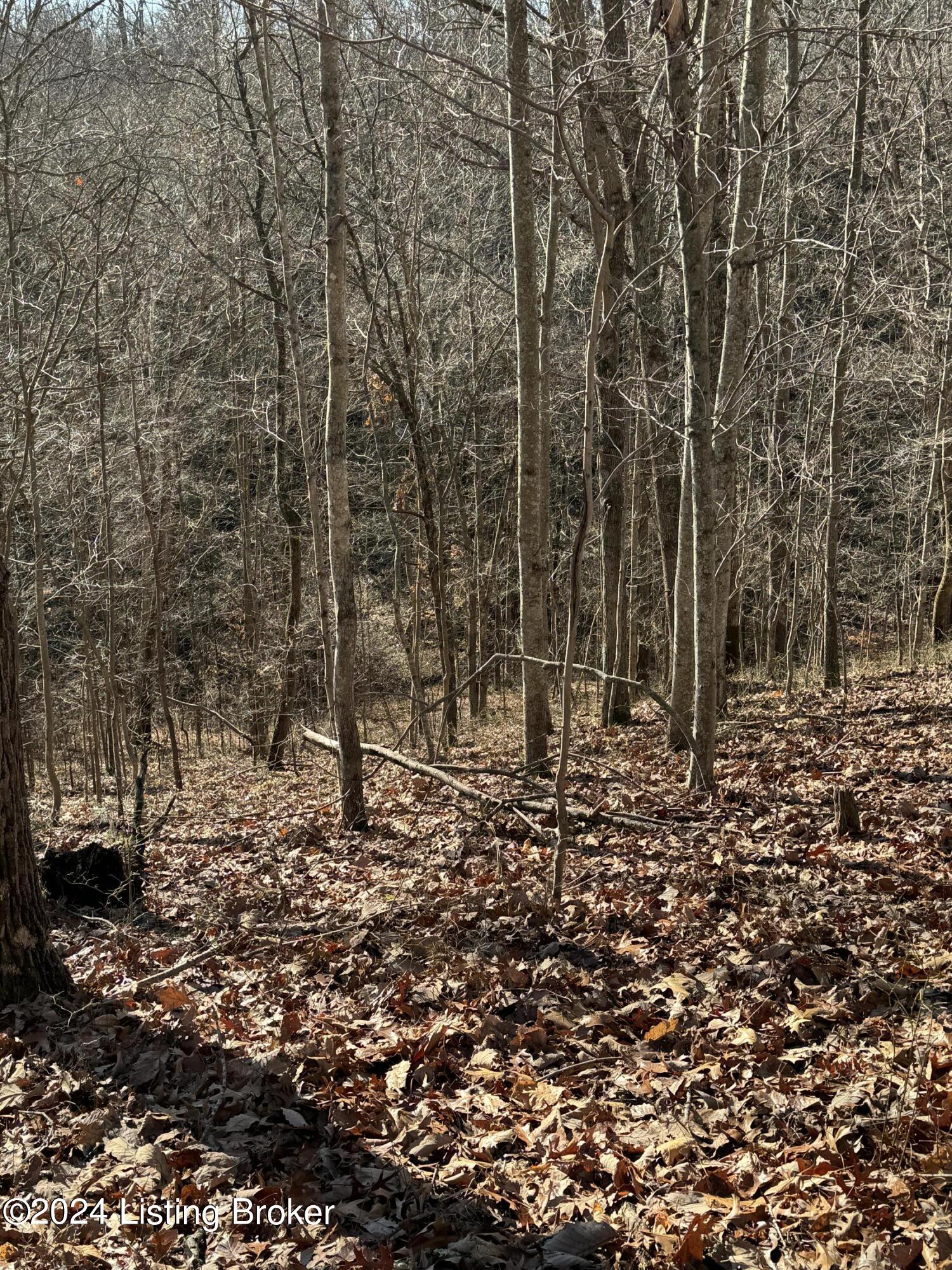 0 Cooper Road Greenup, KY 41144 - Photo 26 of 37 IMG_1063