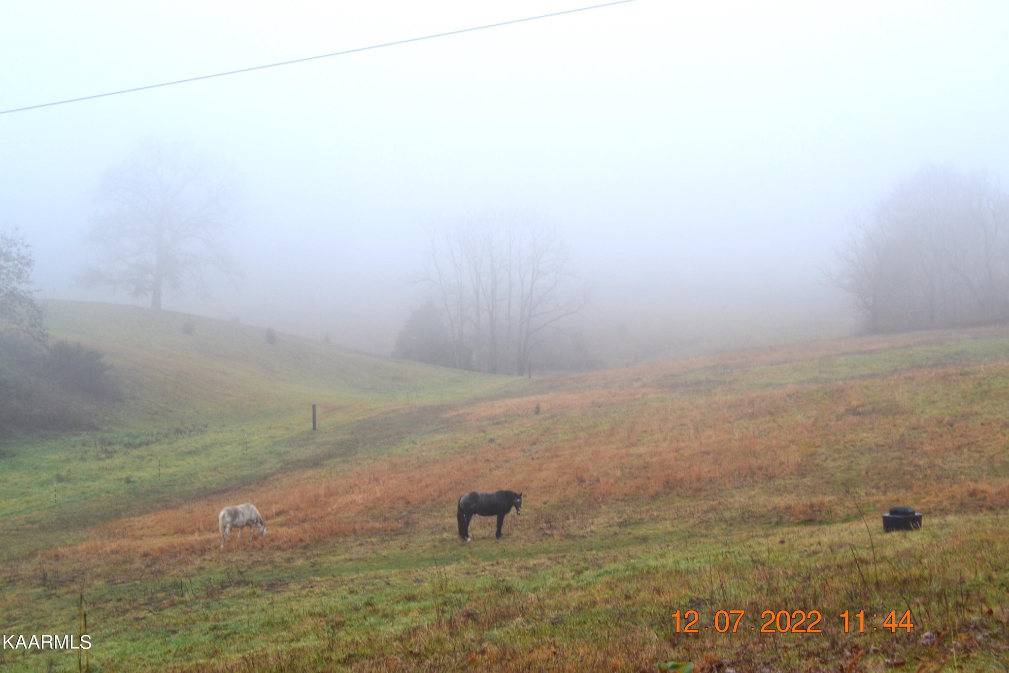 4 Cain Road Sharps Chapel, TN 37866 - Photo 8 of 17 Gallery Image 8