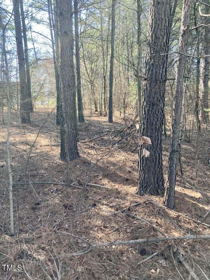 Lot 1 Allensville Road Roxboro, NC 27574 - Photo 3 of 6 428640634_2639075519603456_7886971096745