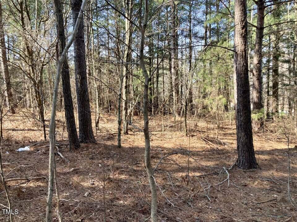 Lot 1 Allensville Road Roxboro, NC 27574 - Photo 4 of 6 428646064_2639075616270113_5979534993147