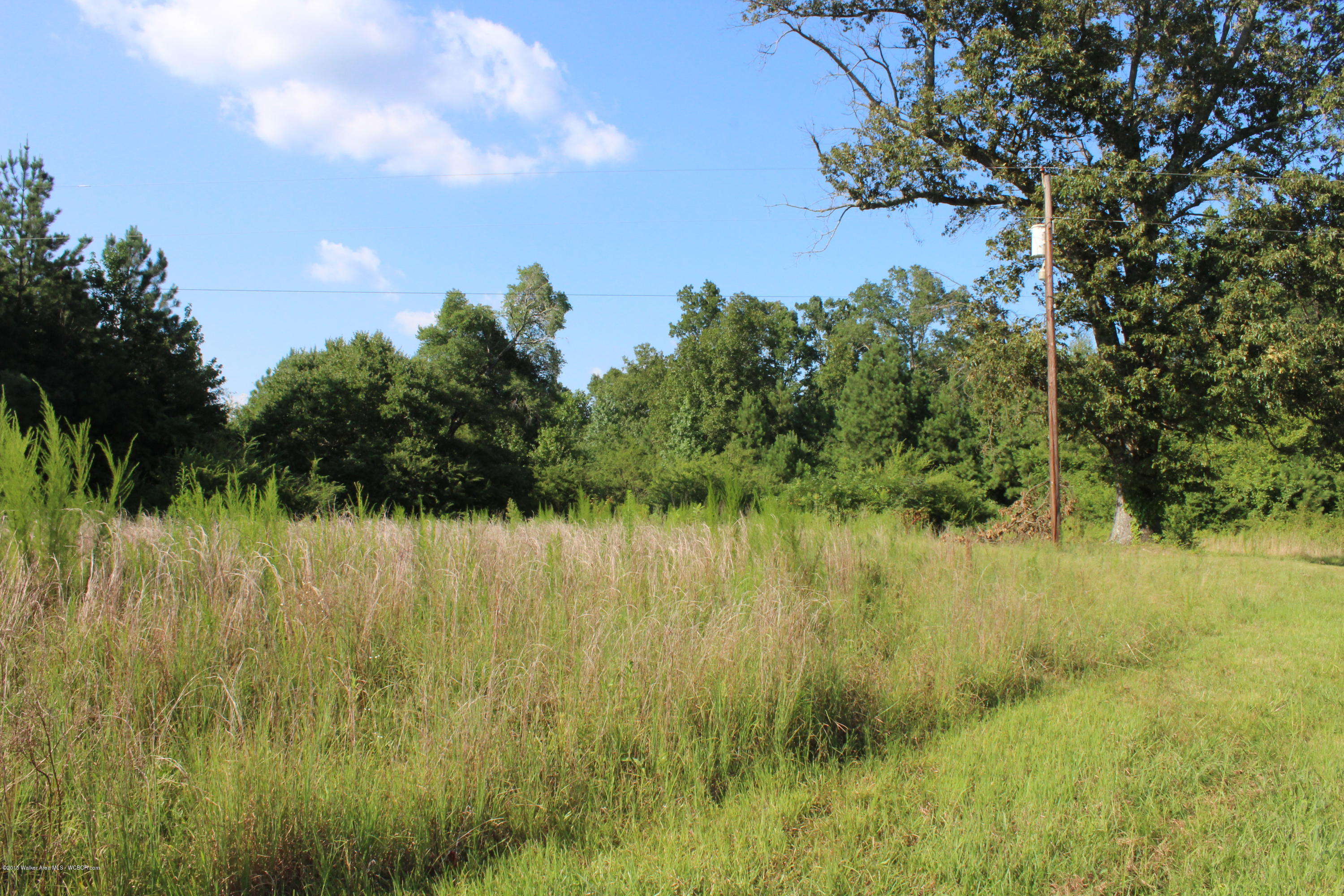 Royster Road Jasper, AL 35503 - Photo 5 of 9 Gallery Image 5