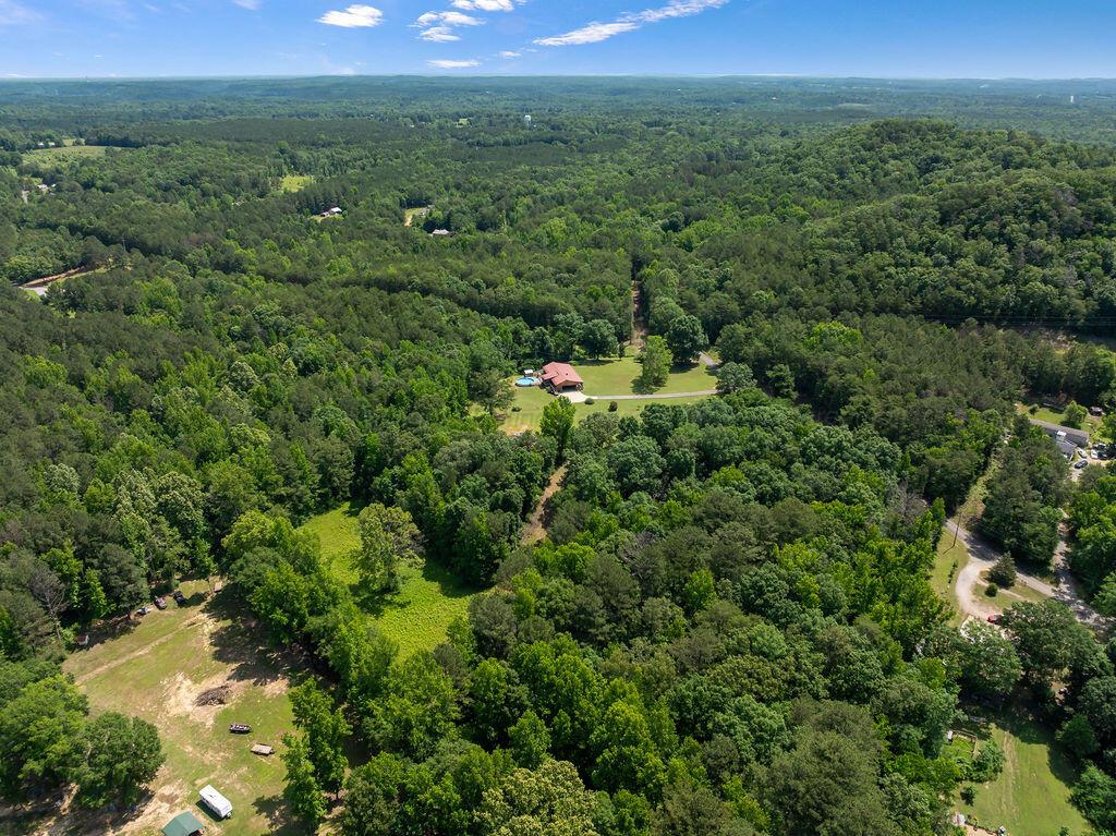 453 Mclaughlin Road Oakman, AL 35579 - Photo 31 of 31 aerial view