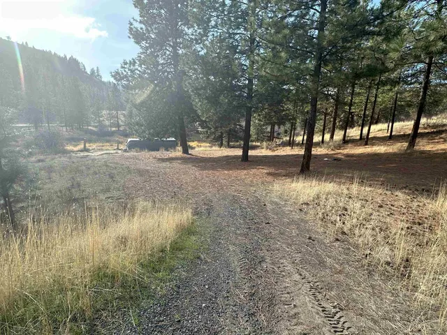 $165,000 | 25656 East E Pine, Lincoln, WA 99147