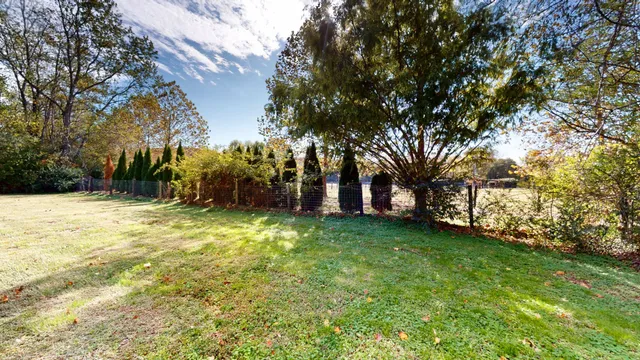 a view of mountains and tree