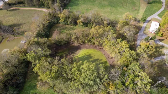 a view of a lush green forest with a house in the background