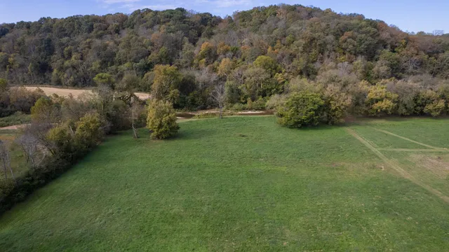 a view of a garden with a lake