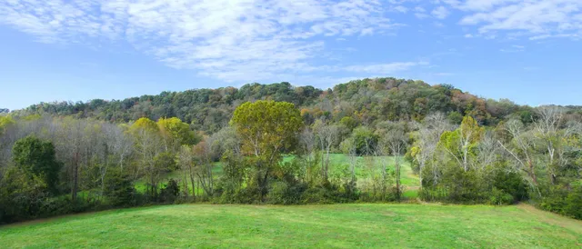 a view of yard with trees and flowers