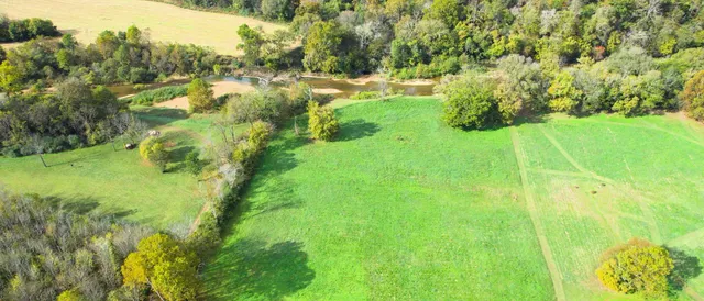 a view of yard with green space
