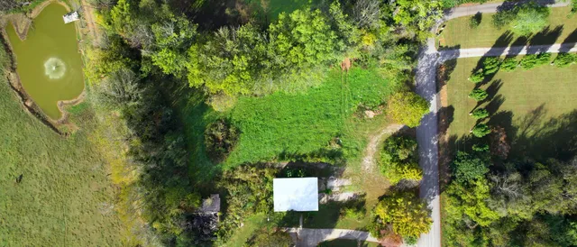 a view of yard with green space