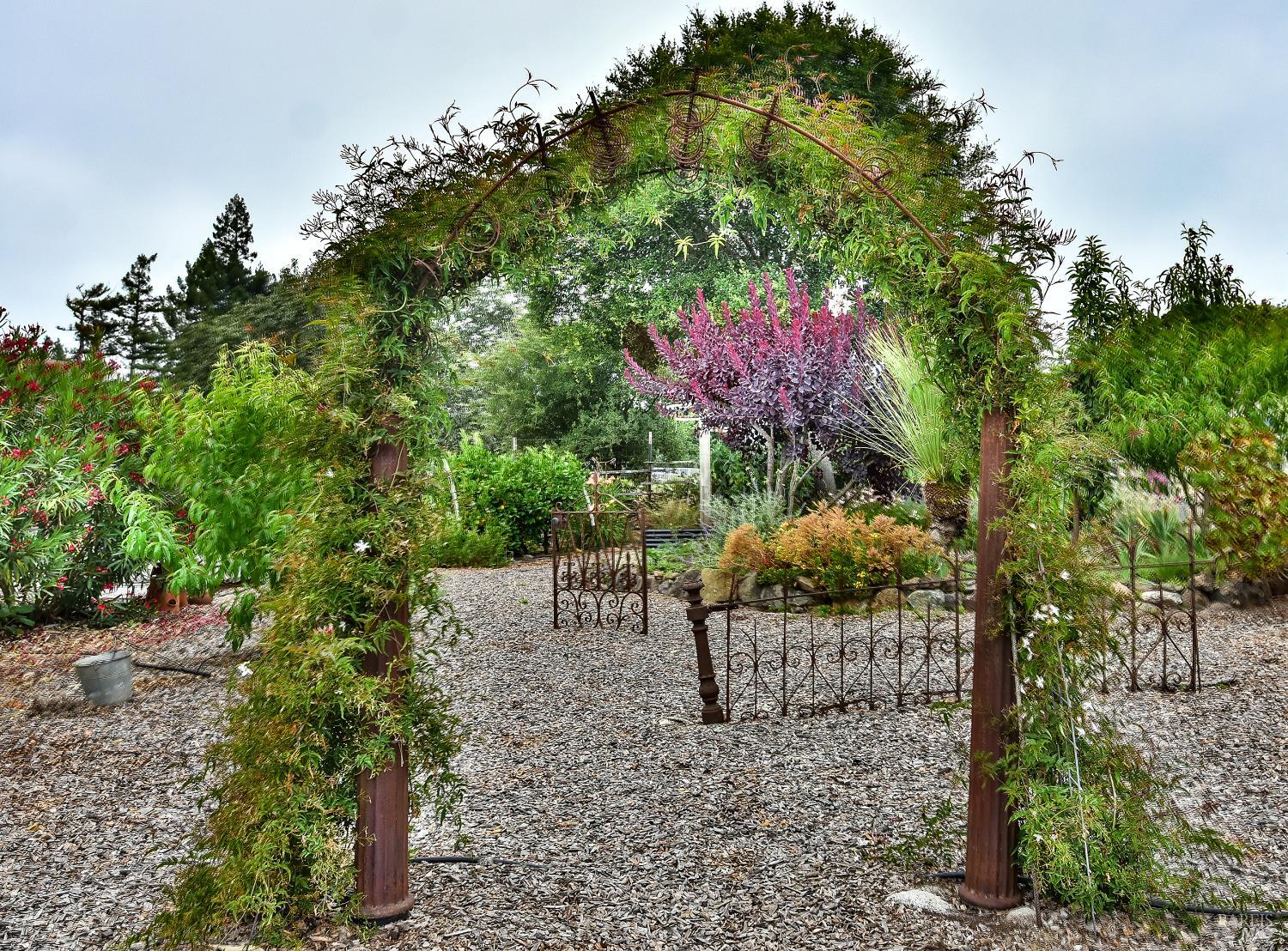 704 Bloomfield Road Sebastopol, CA 95472 - Photo 46 of 47