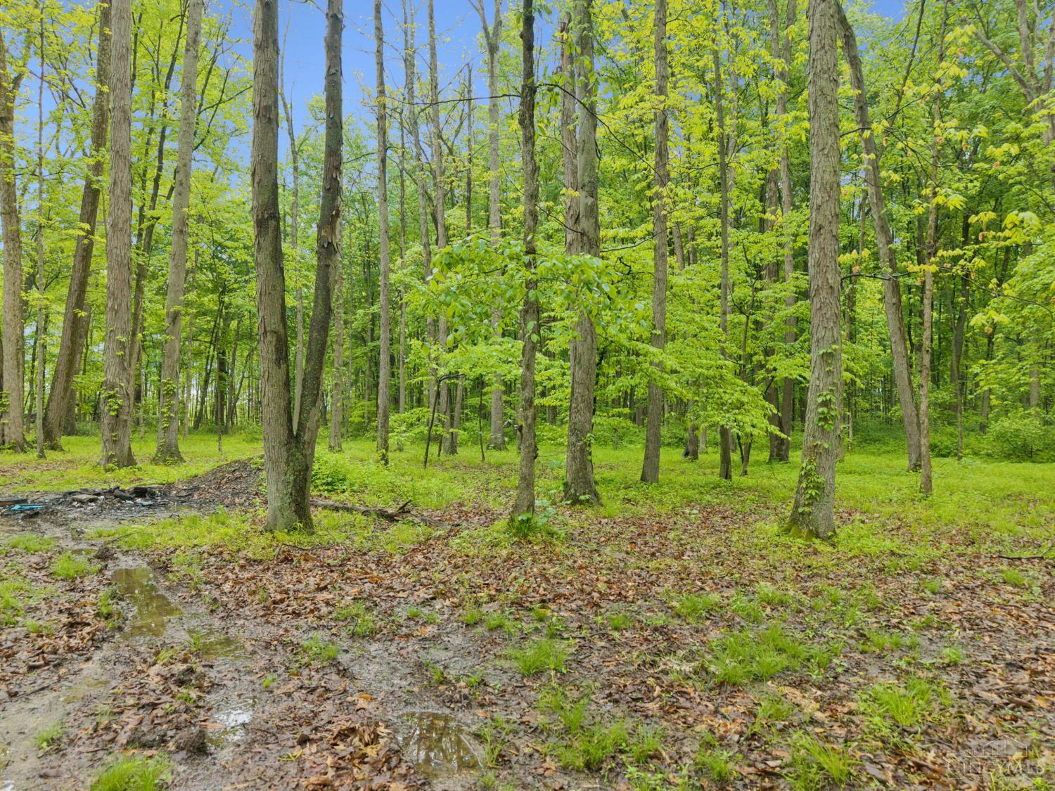 582 Nauvoo Road Clarksville, OH 45113 - Photo 13 of 44