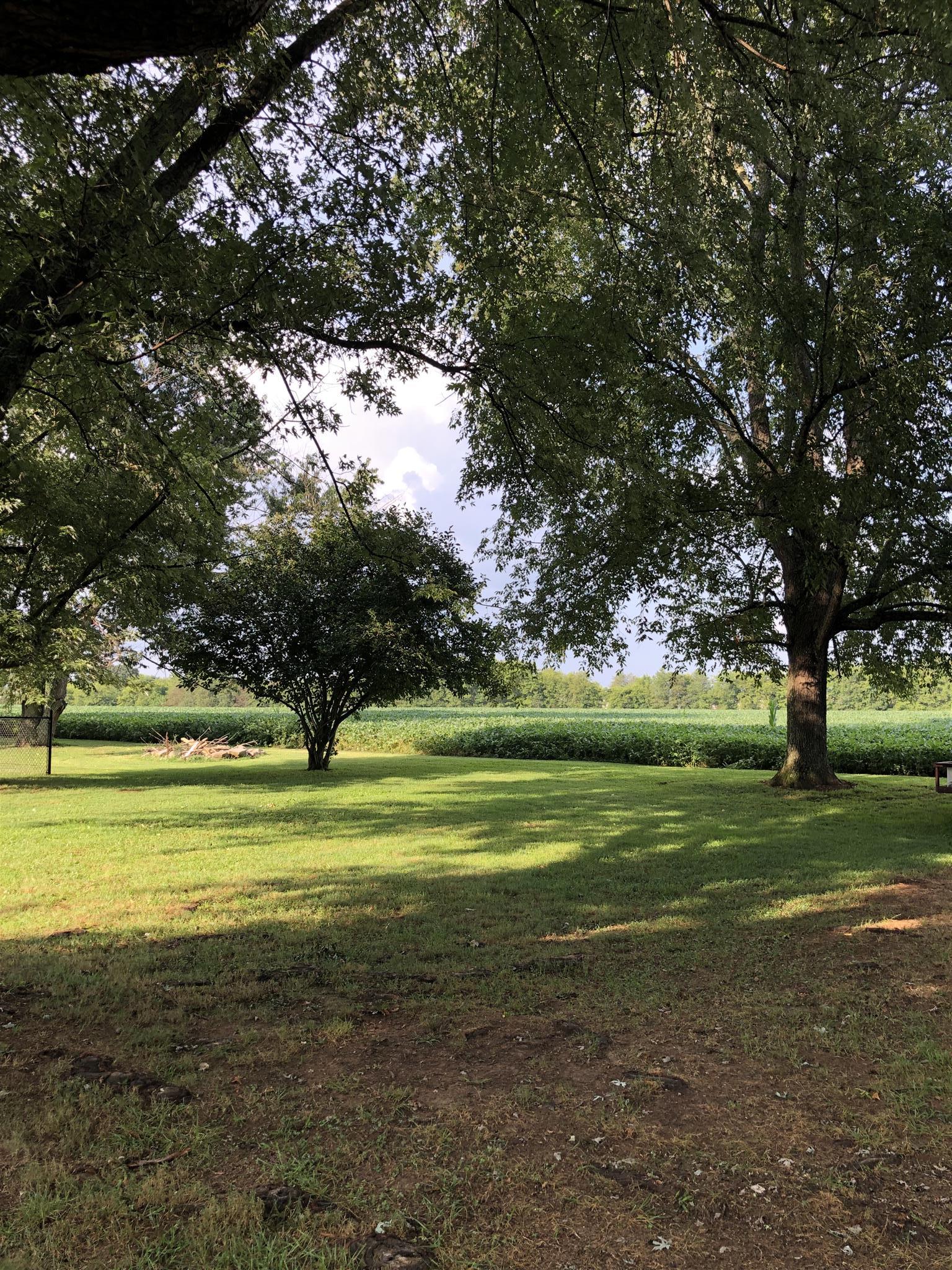 208 Riggs Avenue Portland, TN 37148 - Photo 19 of 26 What a beautiful private backyard!