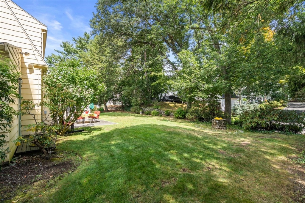 34 Palmer Road Newton, MA 02468 - Photo 24 of 26 a view of a yard with a tree
