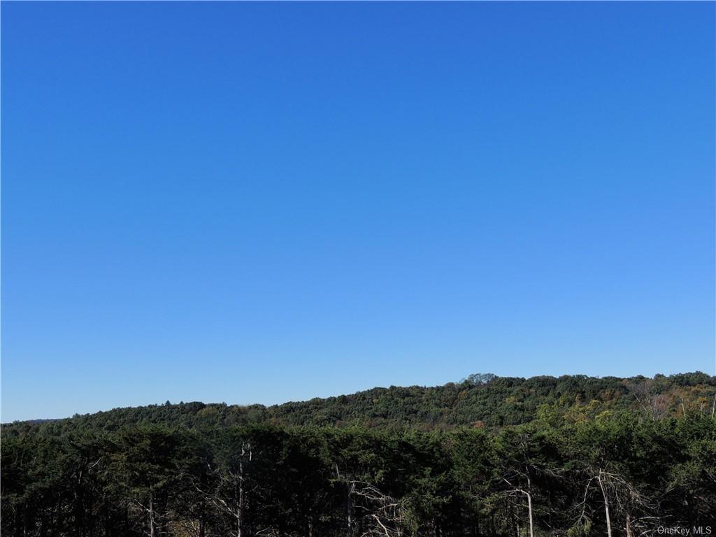 Oxford Road Chester, NY 10918 - Photo 18 of 23