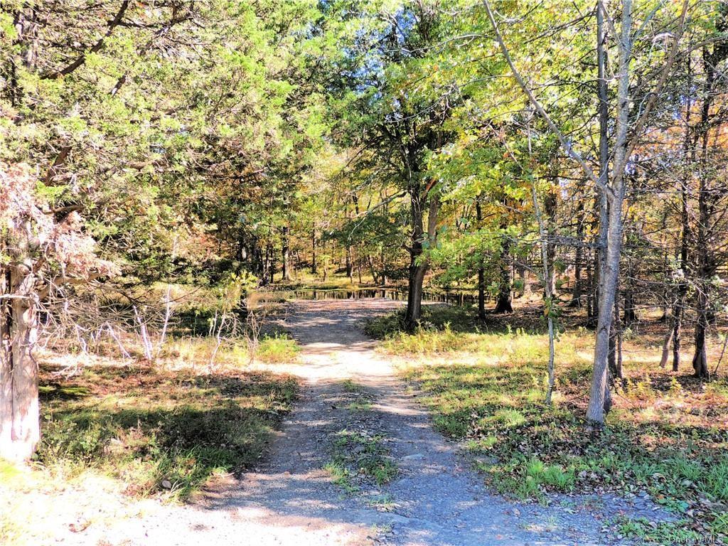 Oxford Road Chester, NY 10918 - Photo 3 of 23