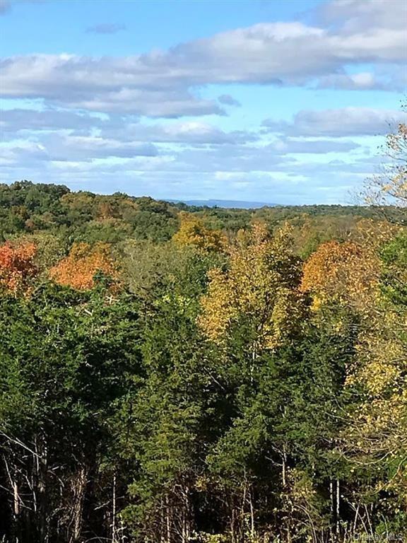 Oxford Road Chester, NY 10918 - Photo 4 of 23