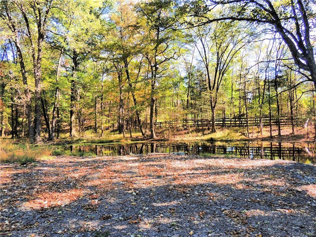 Oxford Road Chester, NY 10918 - Photo 8 of 23