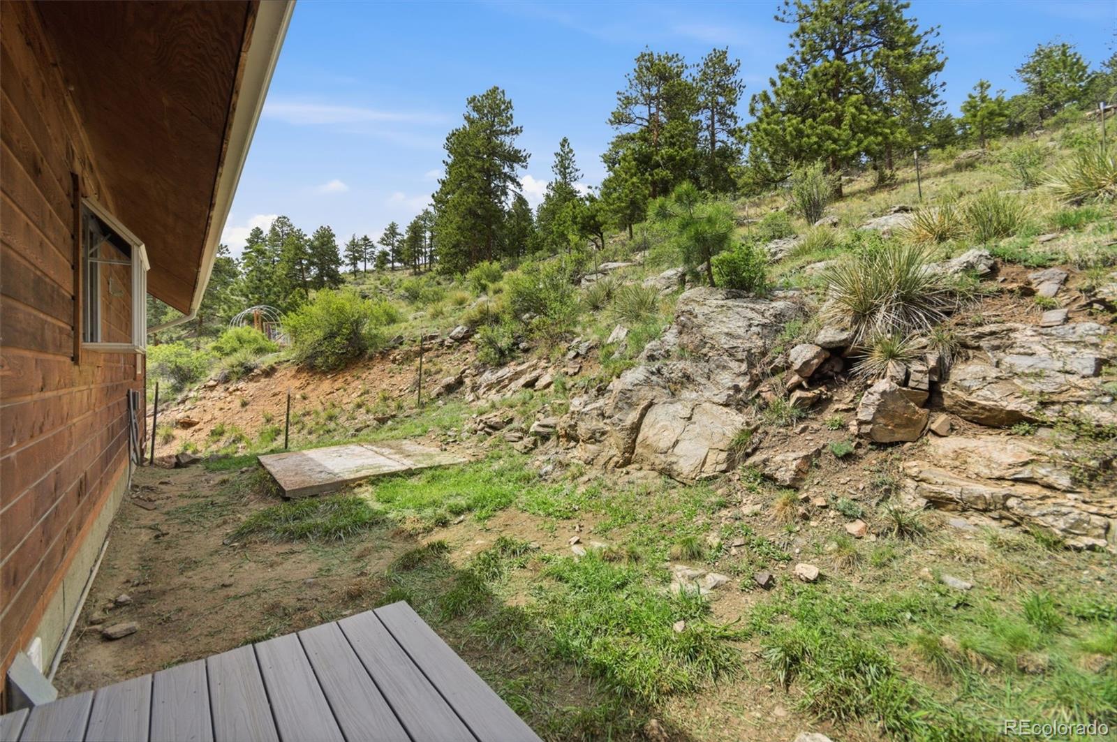 202 Badger Lane Bailey, CO 80421 - Photo 42 of 50 a view of a backyard of the house