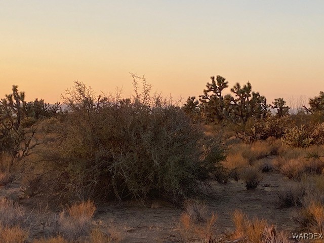 1047 South Kit Carson Road Yucca, AZ 86438 - Photo 2 of 12 Other