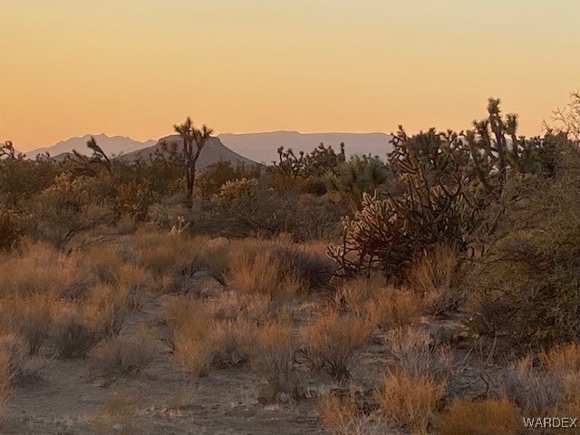 1047 South Kit Carson Road Yucca, AZ 86438 - Photo 3 of 12 View