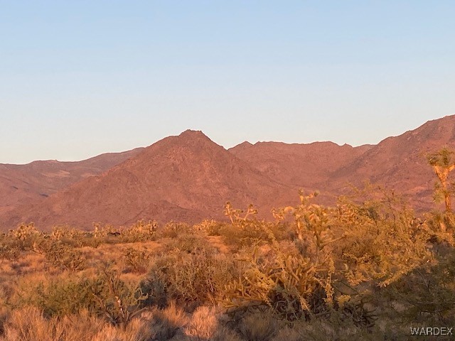 1047 South Kit Carson Road Yucca, AZ 86438 - Photo 5 of 12 View