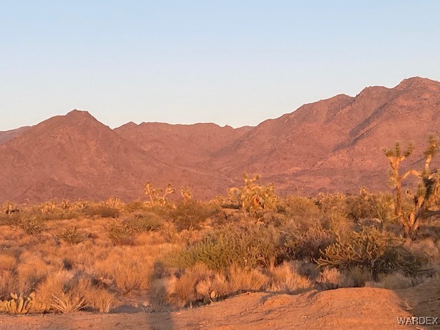 1047 South Kit Carson Road Yucca, AZ 86438 - Photo 6 of 12 View