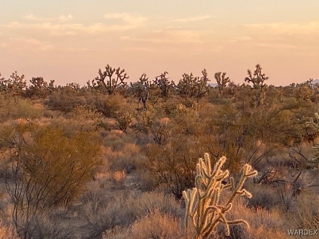 1047 South Kit Carson Road Yucca, AZ 86438 - Photo 7 of 12 Other