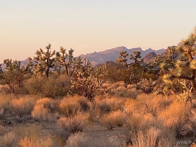 1047 South Kit Carson Road Yucca, AZ 86438 - Photo 9 of 12 View