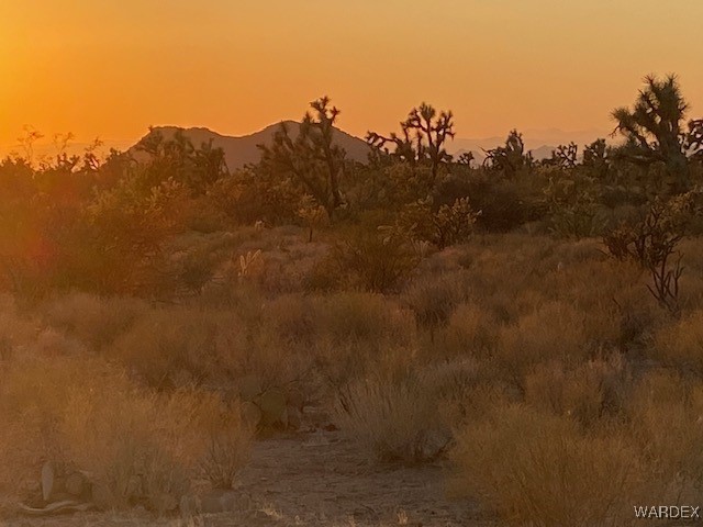 1047 South Kit Carson Road Yucca, AZ 86438 - Photo 10 of 12 View