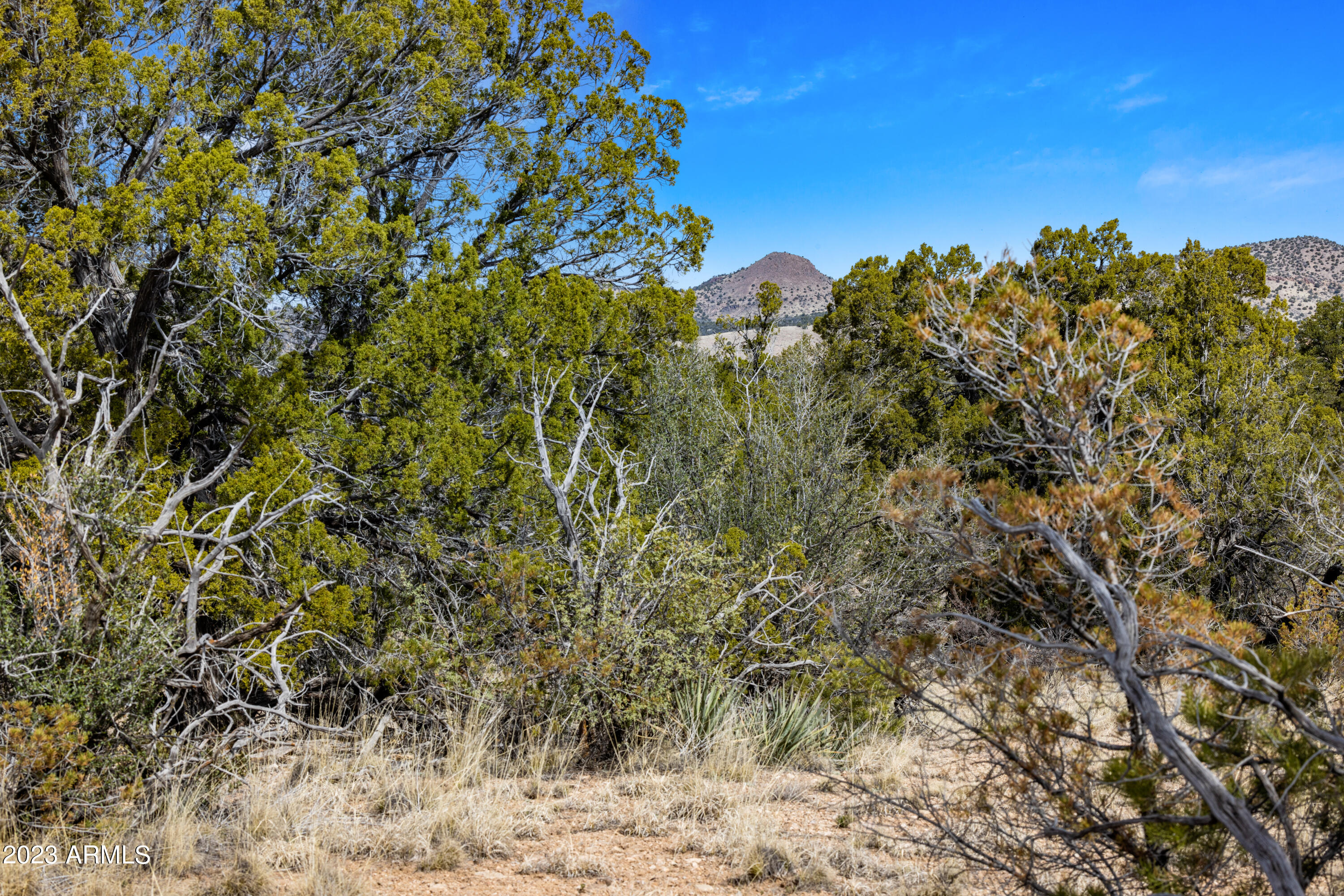 4745 West Sterling Ranch Road, Unit 17 Prescott, AZ 86305 - Photo 3 of 16