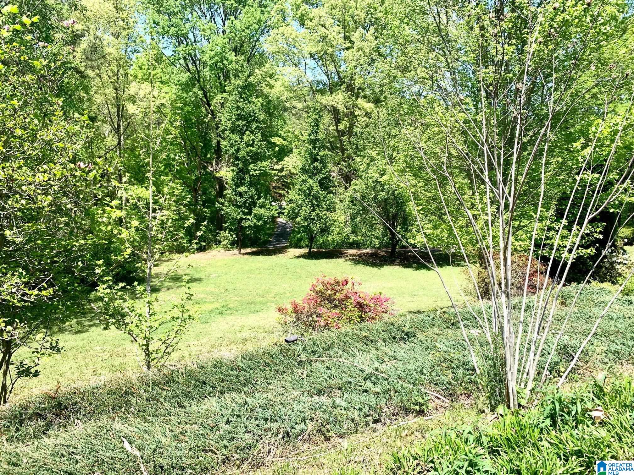 788 River Road Heflin, AL 36264 - Photo 12 of 47