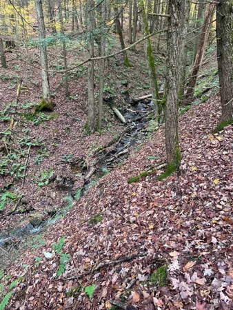 $160,000 | 1901 Royalton Hill Road, Unit 2, Royalton, VT 05068