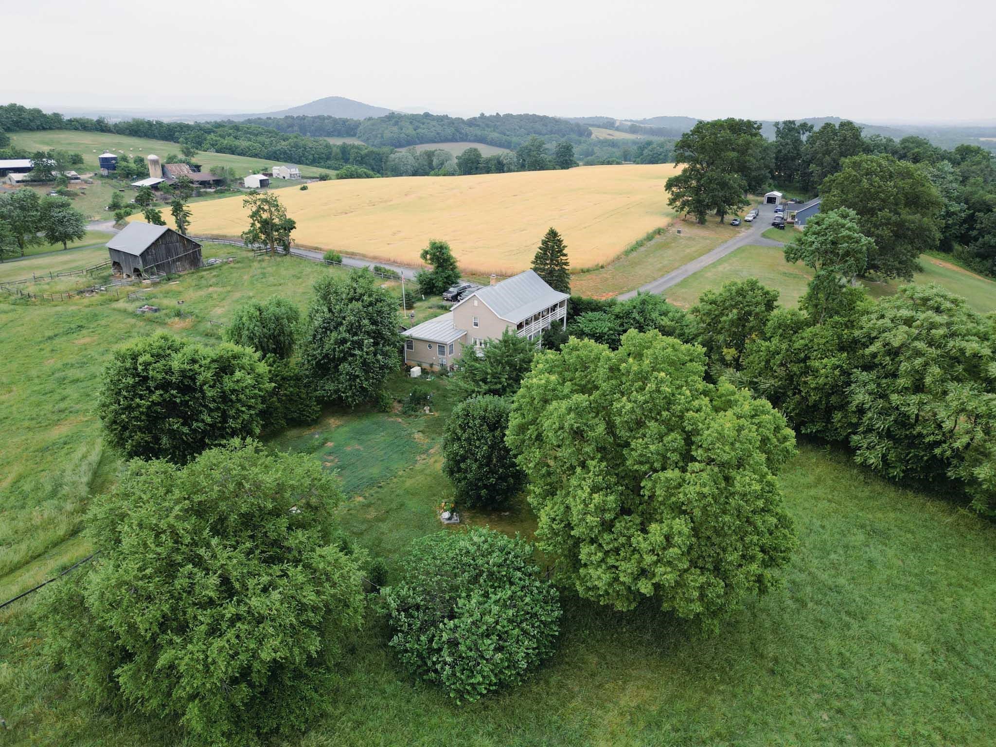 2215 Jiggady Road New Market, VA 22844 - Photo 19 of 29 Gallery Image 19