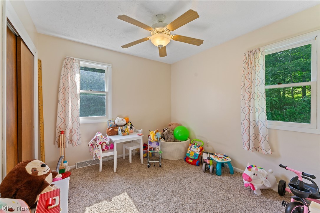 8184 Rochester Road East Rochester, OH 44625 - Photo 17 of 28 Game room featuring carpet and ceiling fan