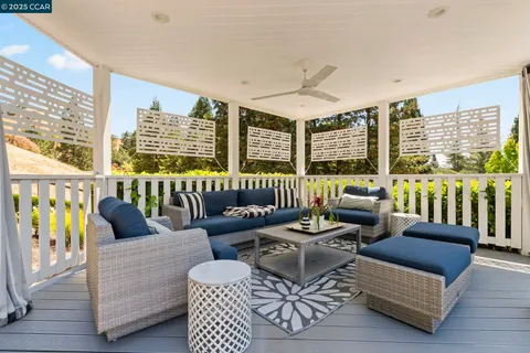 a view of a yard with plants