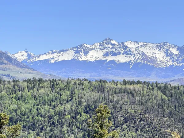 $495,000 | Tbd Sage Grouse North, Placerville, CO 81430