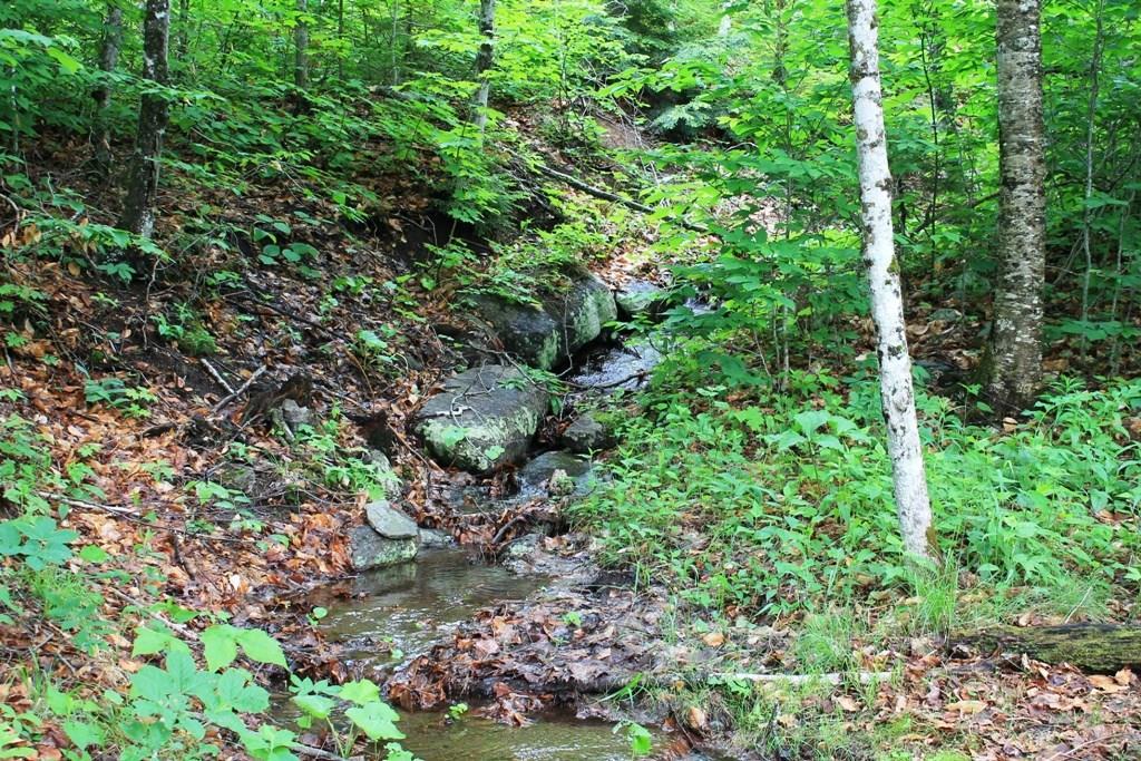 558 Rockwood Road Greenville Junction, ME 04442 - Photo 6 of 31 Babbling seasonal brook