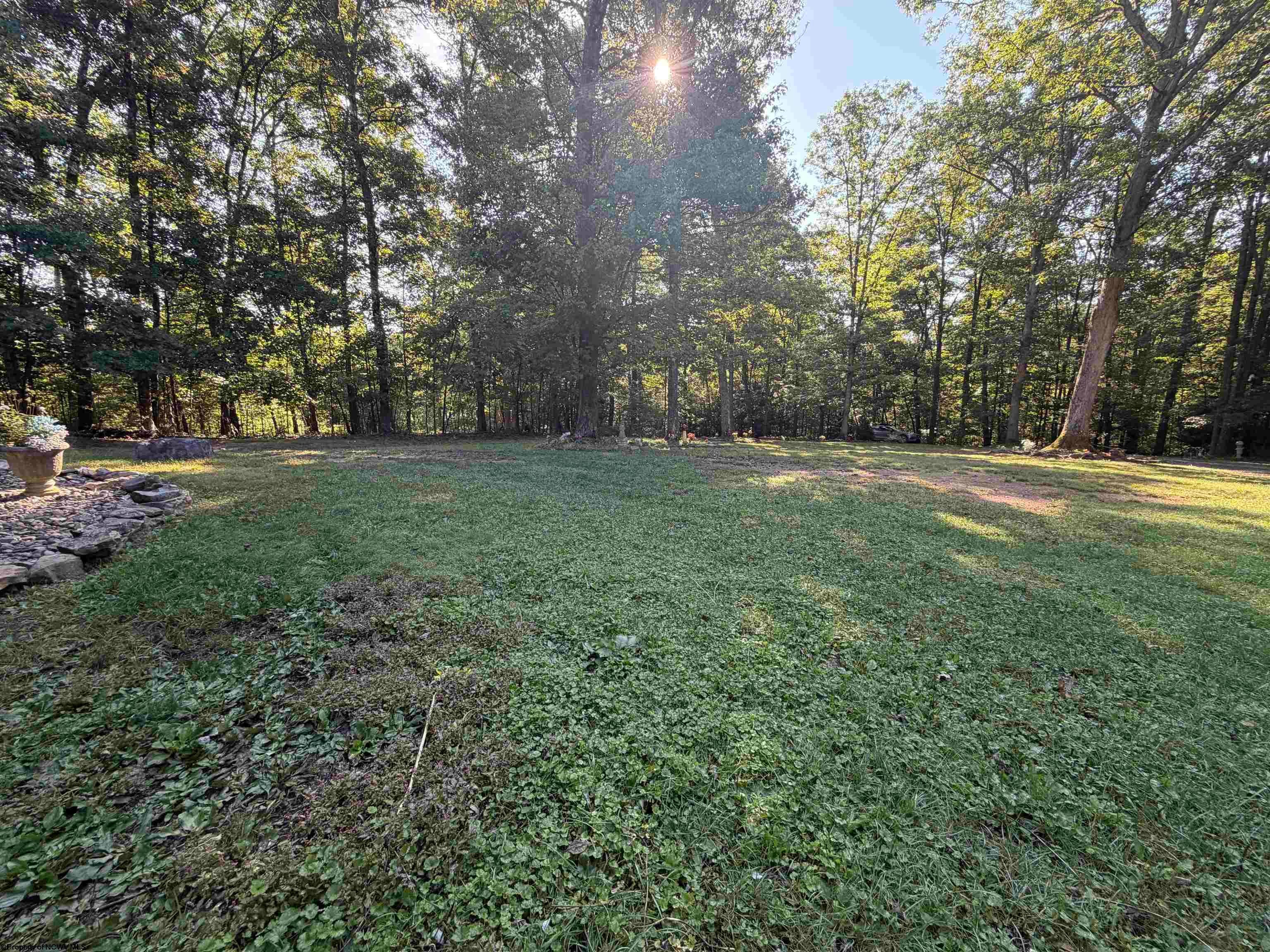 166 Tom Turner Road Independence, WV 26374 - Photo 13 of 45 Gallery Image 13