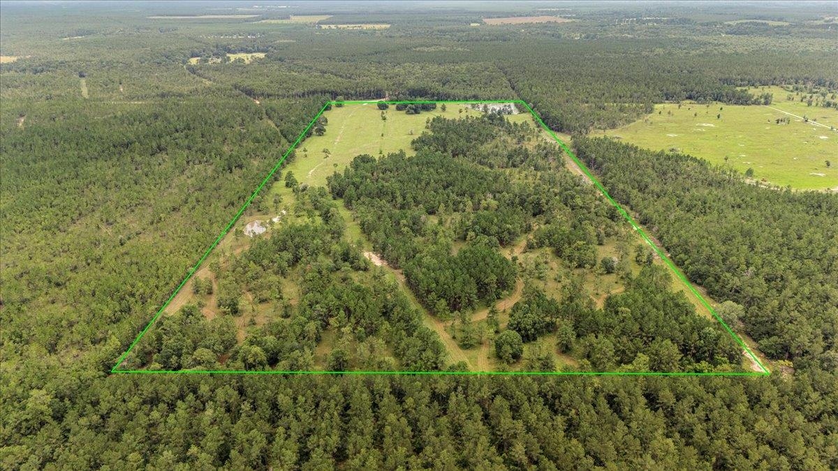Ooo Horseshoe Road Kountze, TX 77625 - Photo 11 of 17