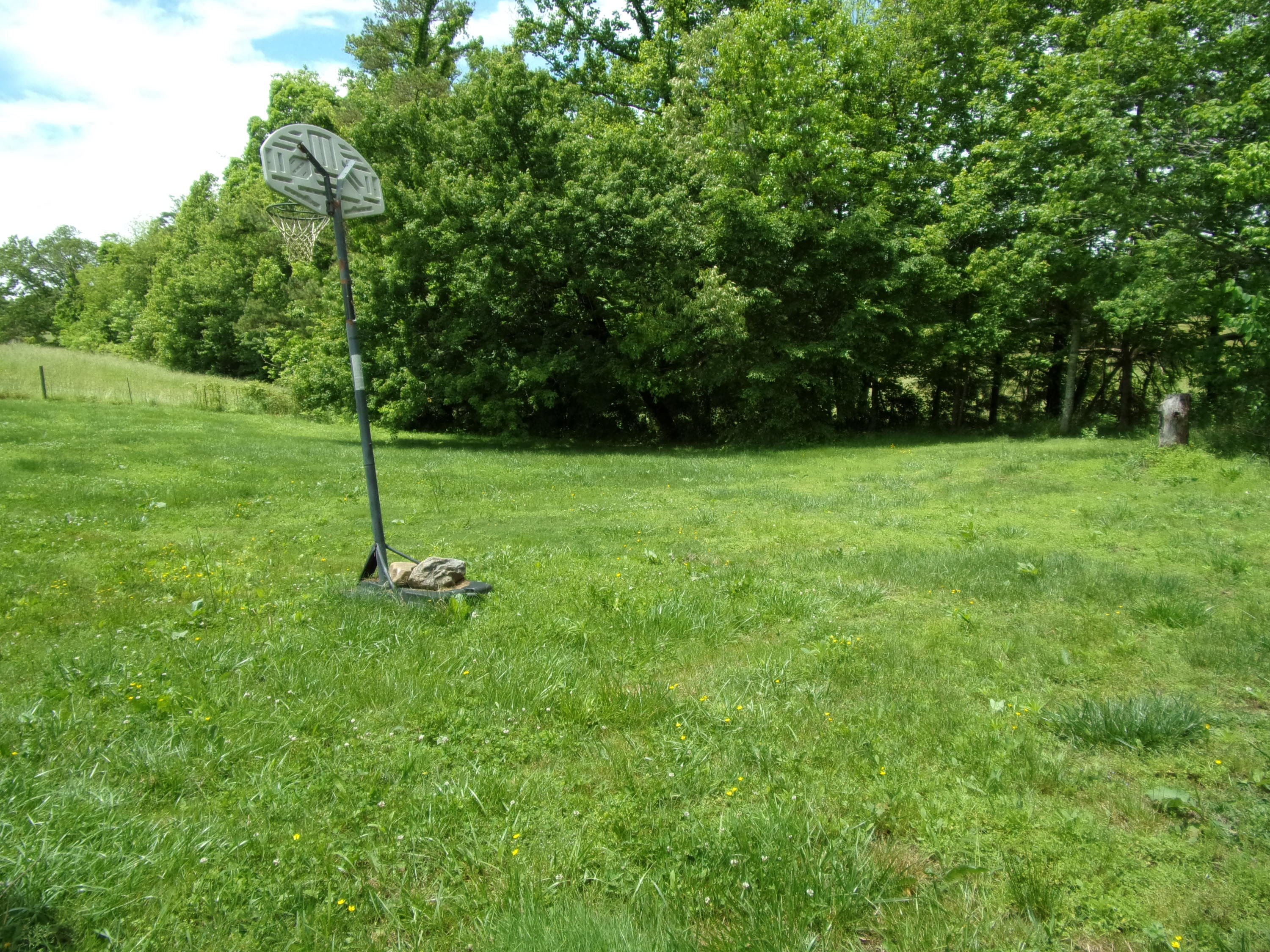 320 Preacher Laws Road Afton, TN 37616 - Photo 5 of 17 100_0006