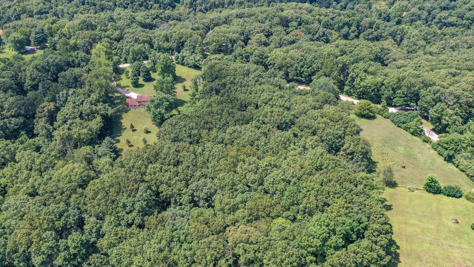 16474 Liberty Ridge Road Grafton, IL 62037 - Photo 8 of 61