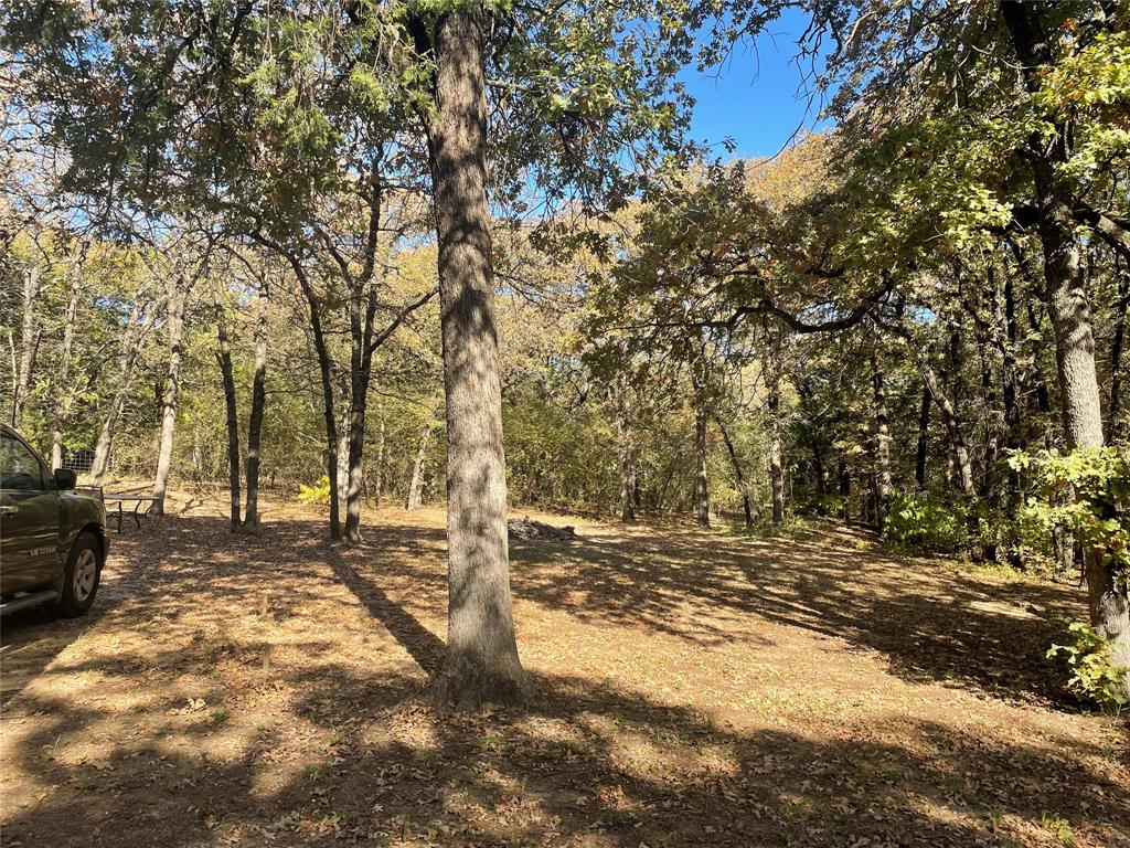 1395 Blackjack Road Valley View, TX 76272 - Photo 22 of 23 Back yard