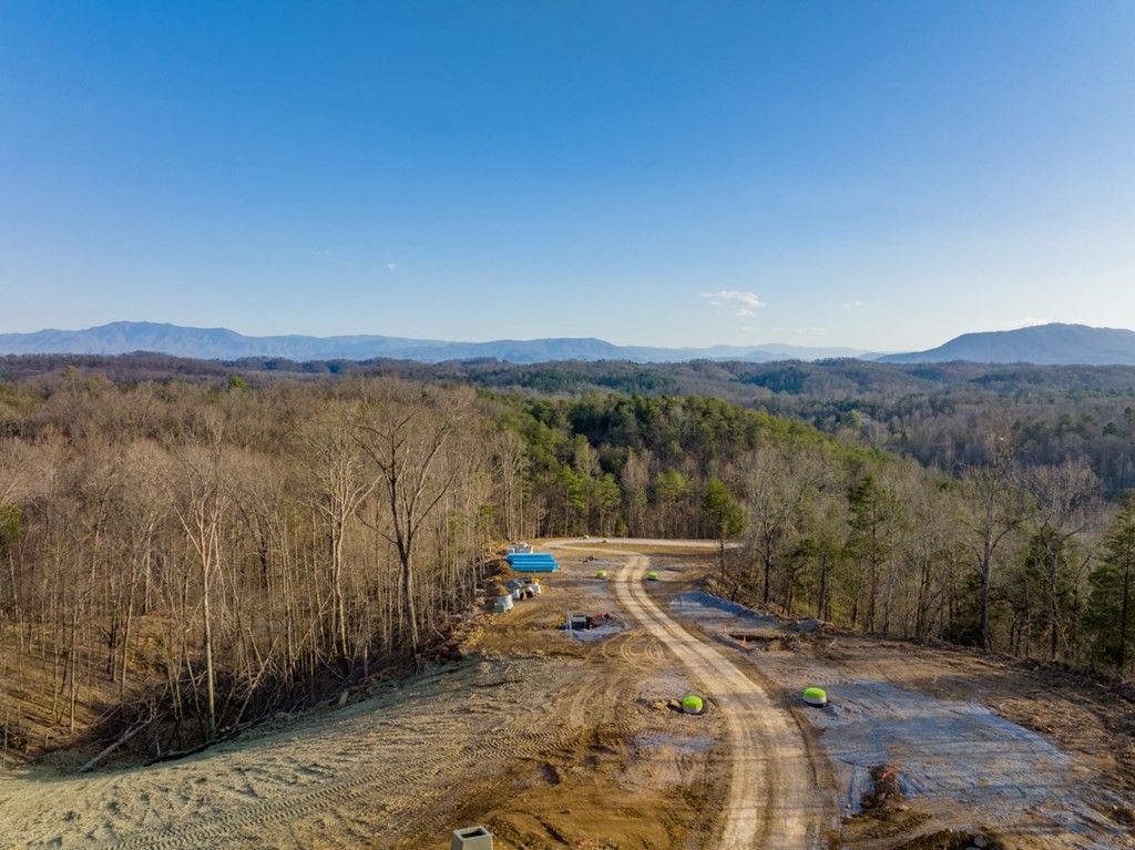 1218 Reedmont Way Sevierville, TN 37876 - Photo 17 of 20 Gallery Image 17