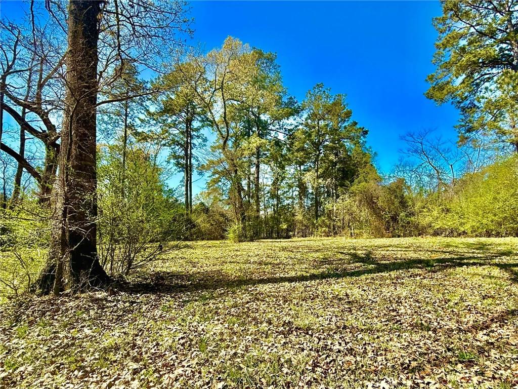 375 Beaubouef Road Deville, LA 71328 - Photo 29 of 43