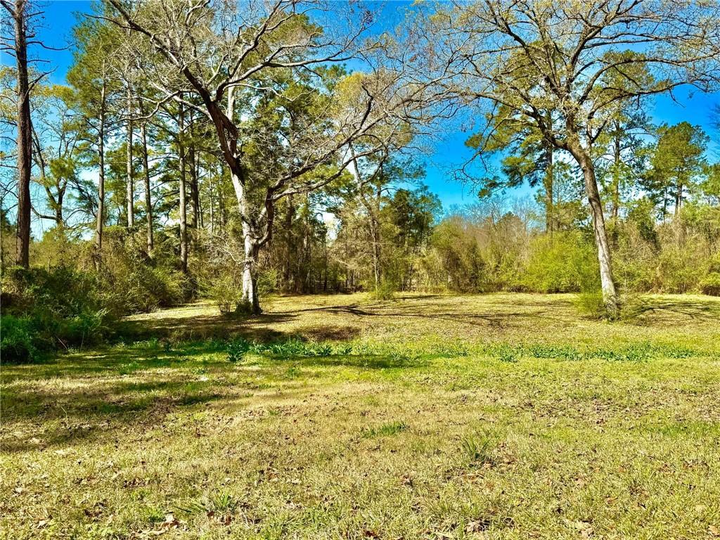 375 Beaubouef Road Deville, LA 71328 - Photo 30 of 43
