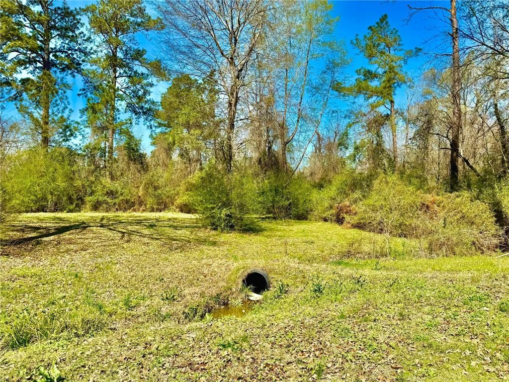 375 Beaubouef Road Deville, LA 71328 - Photo 31 of 43
