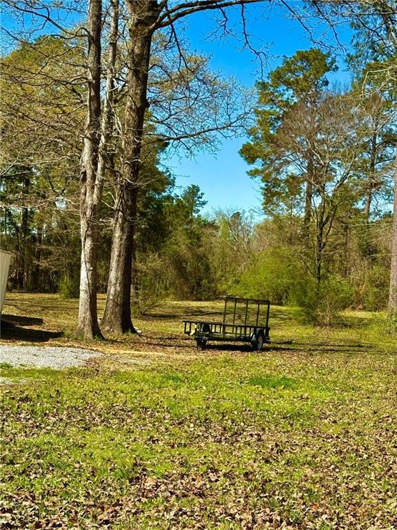 375 Beaubouef Road Deville, LA 71328 - Photo 33 of 43