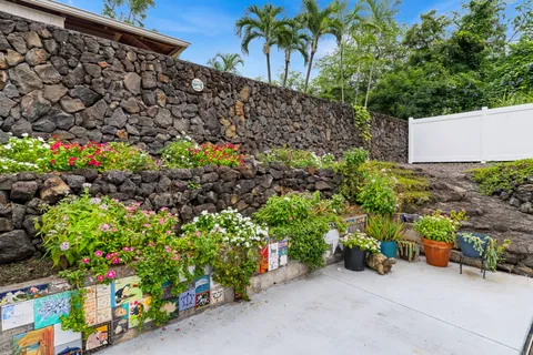 a picture of plants