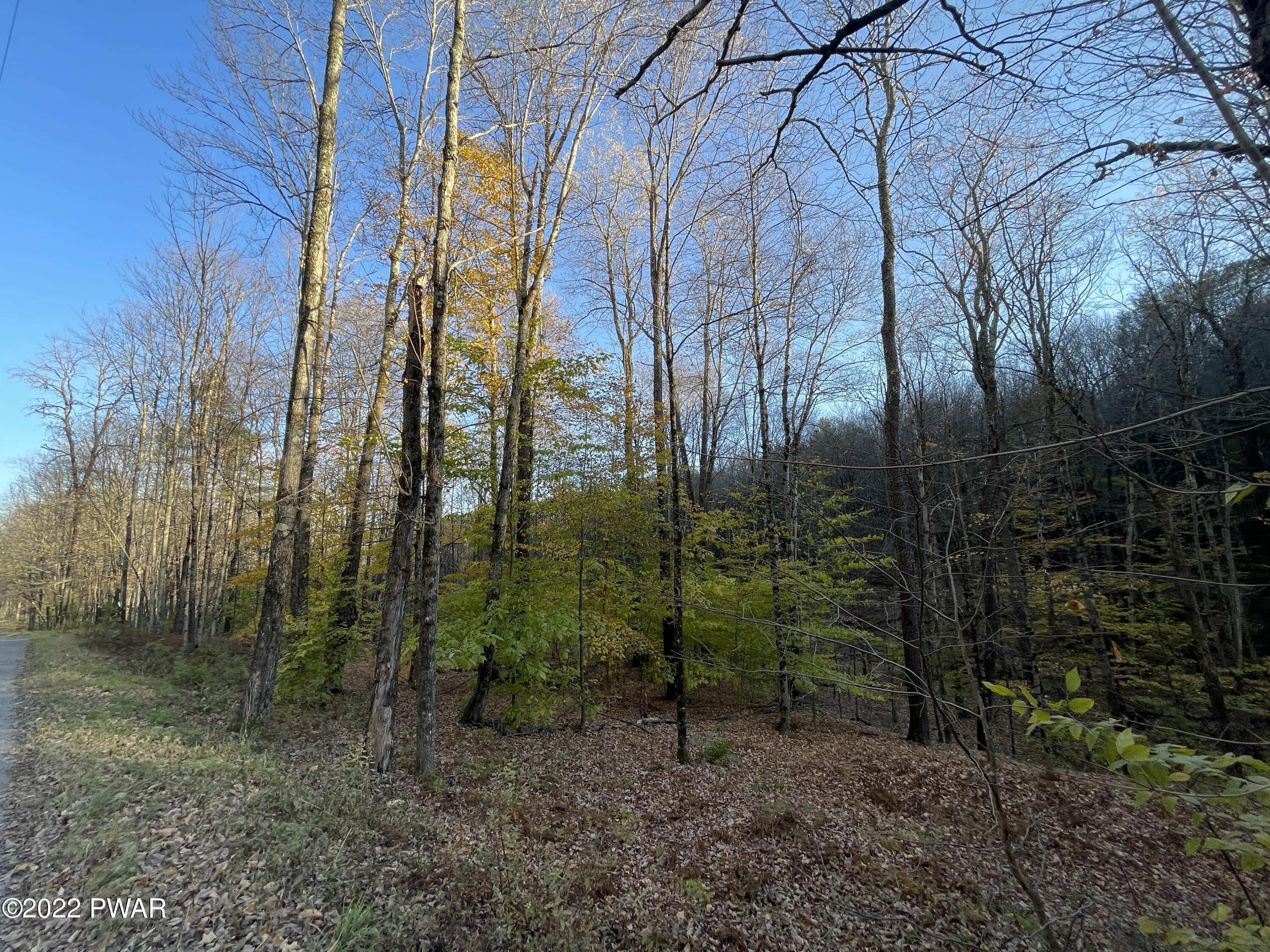 Pleasant Valley Road Starrucca, PA 18462 - Photo 3 of 10 Abounds with Game