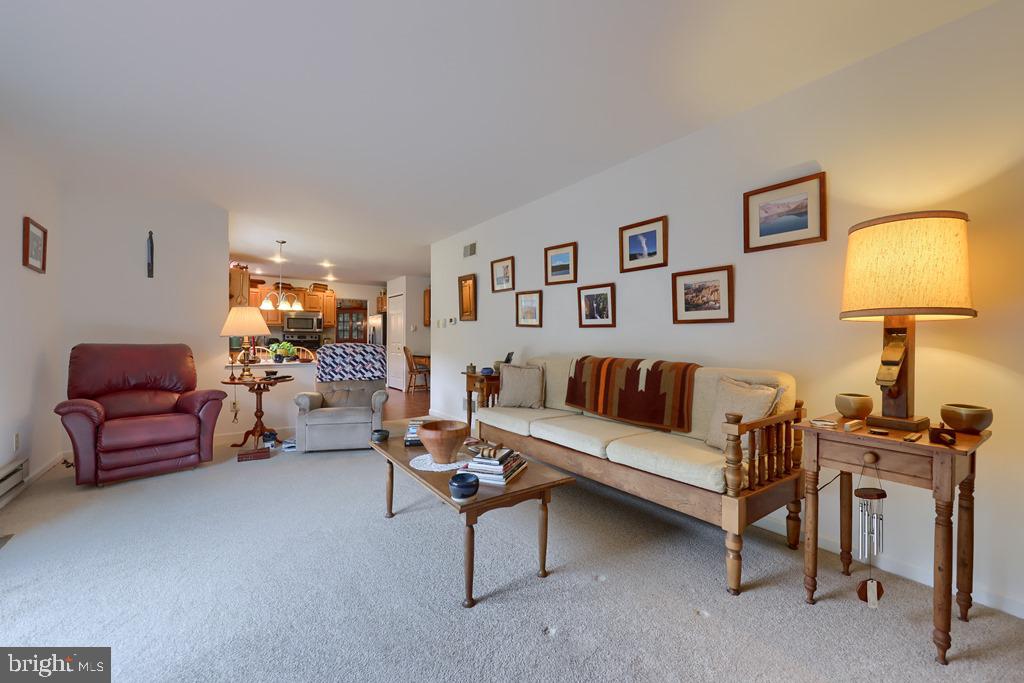 342 Knights Bridge Way Lititz, PA 17543 - Photo 19 of 46 Family room
